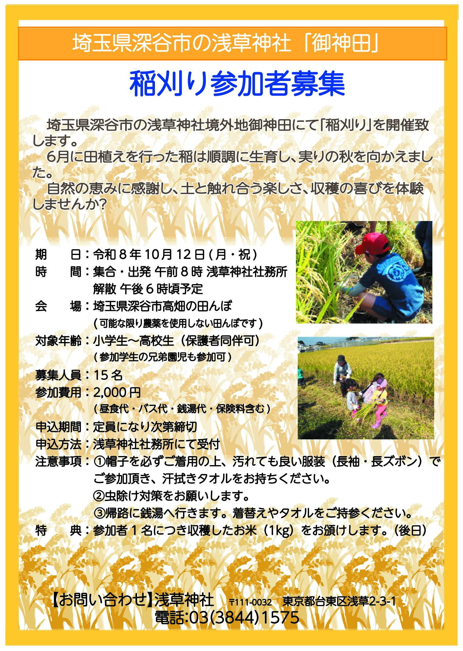 稲刈り参加者募集